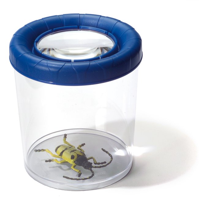 Riesenkäferguckerglas